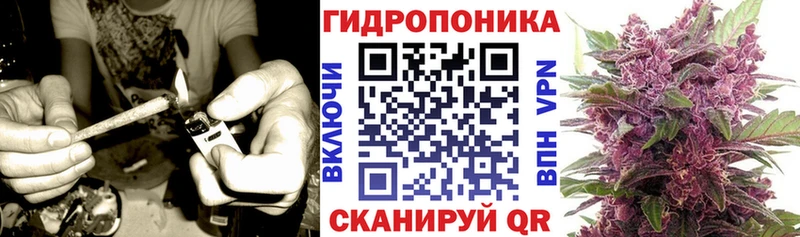 Где купить Кодинск ГАШ Бошки Шишки АМФЕТАМИН Меф COCAIN