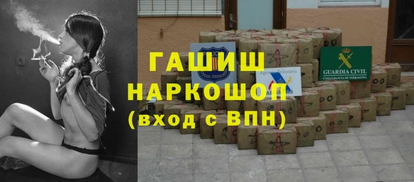 соль ск Няндома