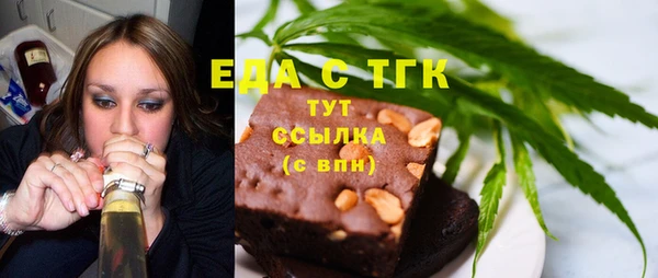 индика Дубна
