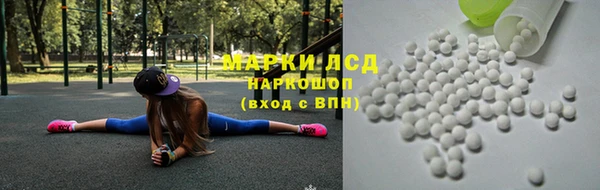 соль ск Няндома