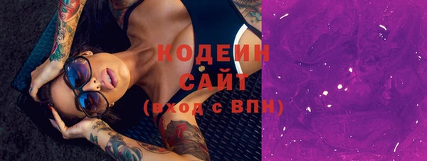 соль ск Няндома
