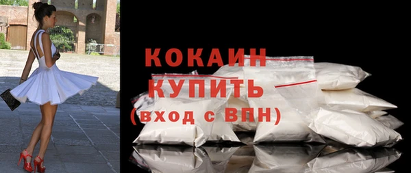 соль ск Няндома