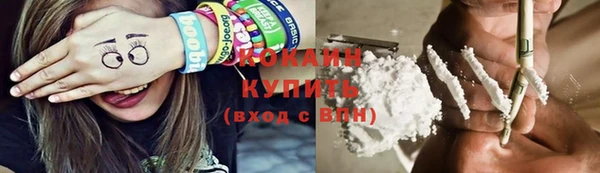 соль ск Няндома