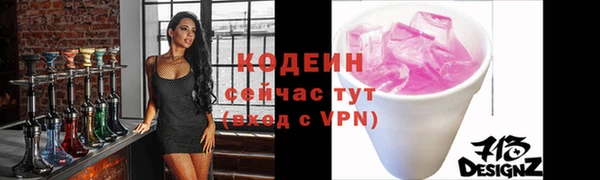 соль ск Няндома