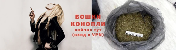 соль ск Няндома