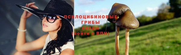 мет Нязепетровск