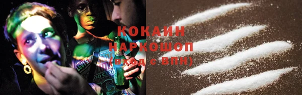 соль ск Няндома